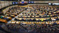 A decision described as historic by the EU Parliament the