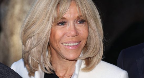A series on the life and youth of Brigitte Macron