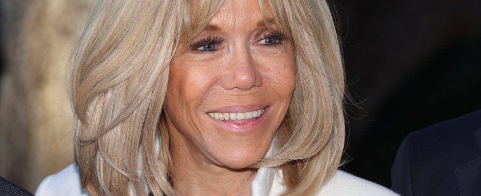 A series on the life and youth of Brigitte Macron