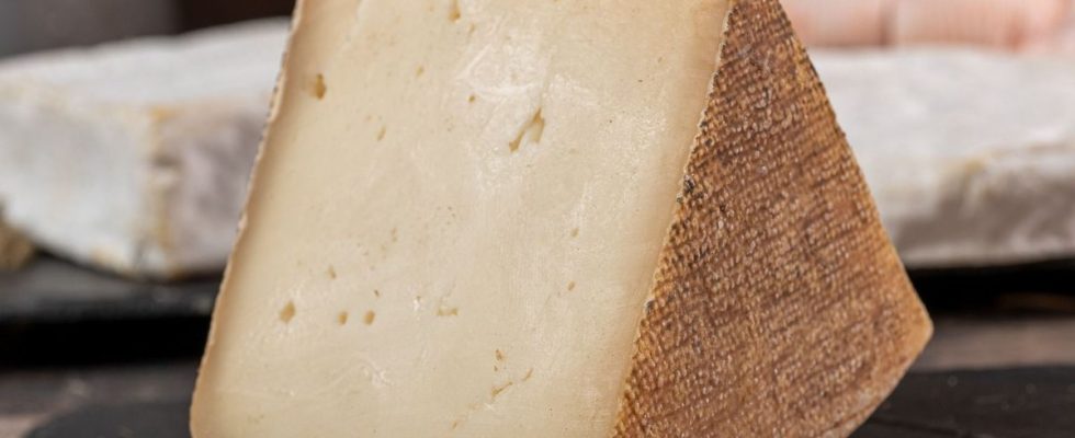 Alert recall of cheese contaminated with listeria