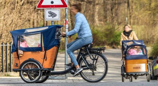 Already 12000 Babboe claims Huge confession from cargo bike manufacturer