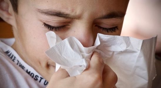 Bad news for people with hay fever the first grass