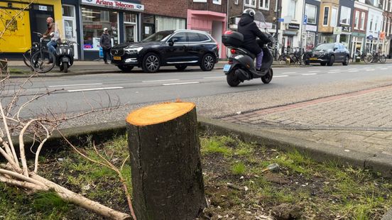 Bare place and shame Utrecht residents not happy with tree