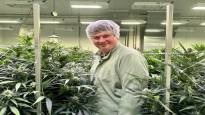 Cannabis is Germanys new hit product after legalization the