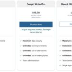 DeepL companys new artificial intelligence supported service Write Pro