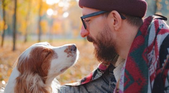 Dogs may recognize post traumatic stress through their sense of smell