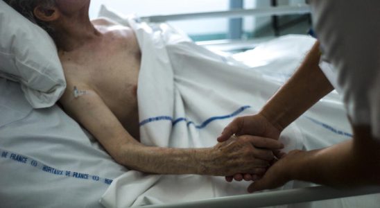 End of life patients in the palliative phase have the