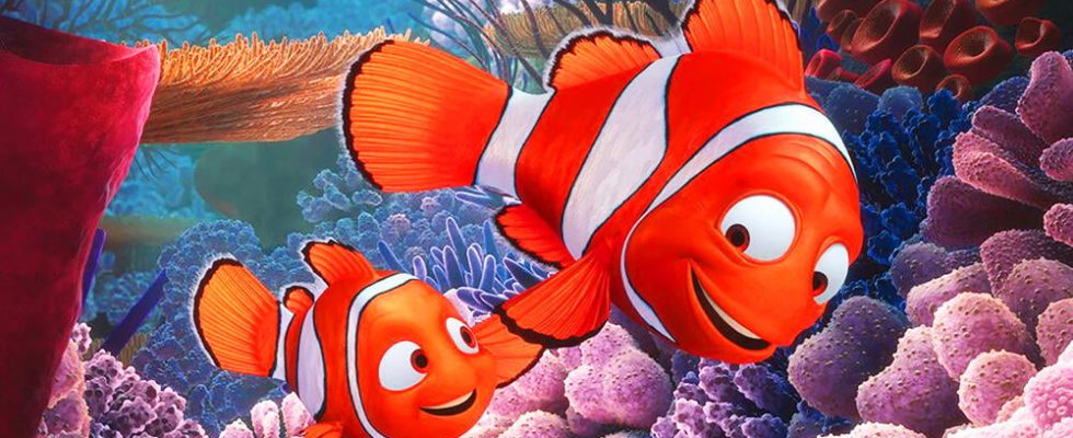 Finding Nemo almost became a disaster but with a little