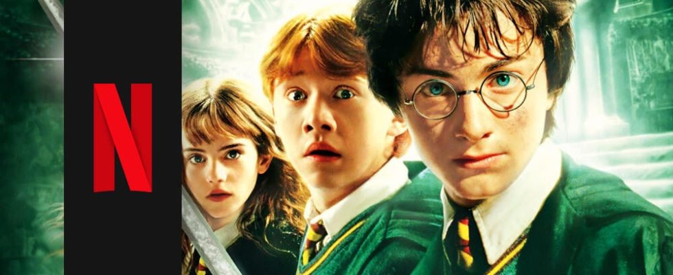Germanys first Harry Potter replacement was completely forgotten for years