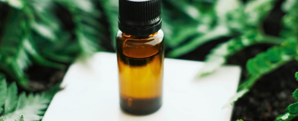 Here is the best essential oil to stop coughing