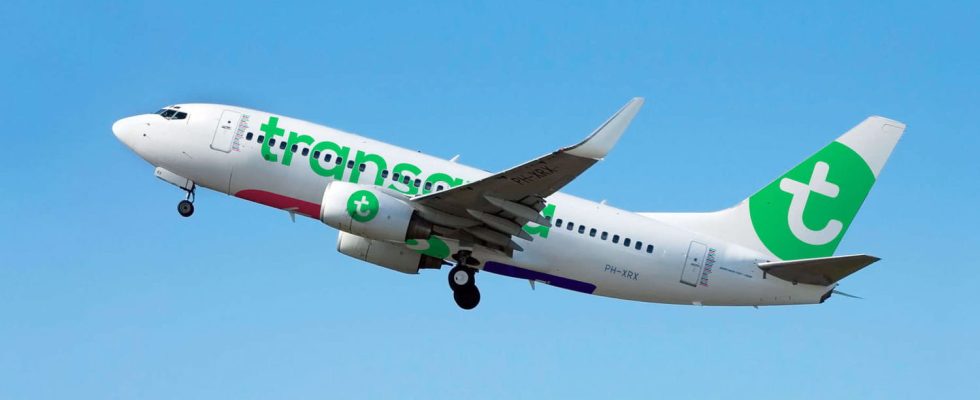 Here is the exact date when Transavia will put on