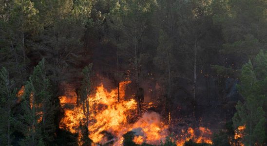 Hundreds evacuated due to forest fire in Spain