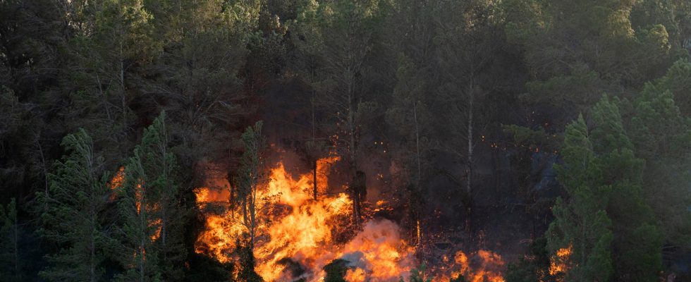 Hundreds evacuated due to forest fire in Spain