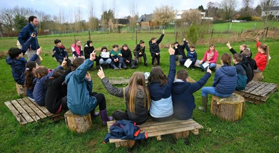 In Belgium the outdoor school connects children with nature