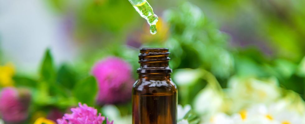 It is the best essential oil to relieve stomach pain