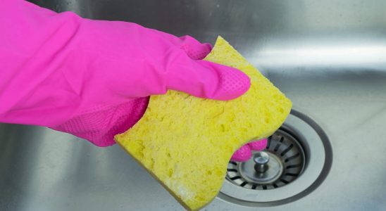 Keep your old sponges they can be useful in the