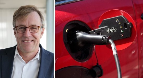 Leasing electric cars a ticking bomb warns the expert