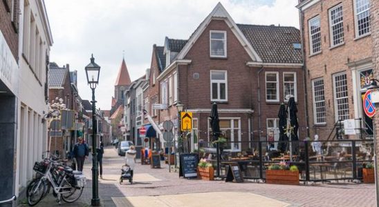 More physical stores in the Netherlands but in the province