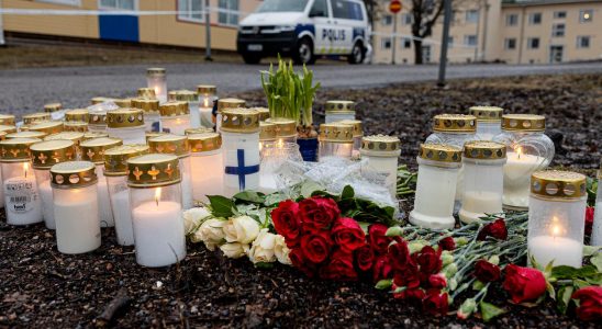 Motive clarified after school shooting in Finland