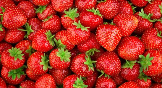 No more bland strawberries this clever tip is a great