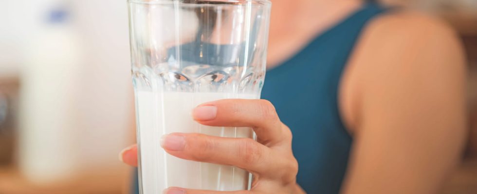 Pro inflammatory this type of milk promotes weight gain