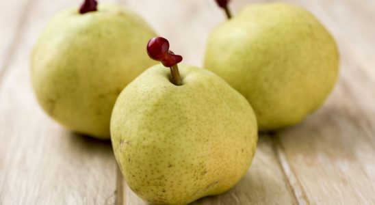 Product recalls these pesticide packed pears should not be eaten