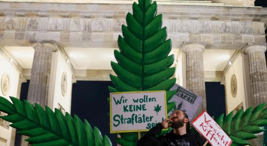 Recreational cannabis becomes legal in Germany despite criticism