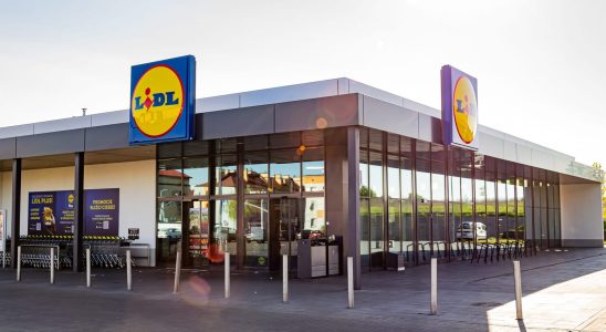 Save the most at Lidl by doing your shopping this