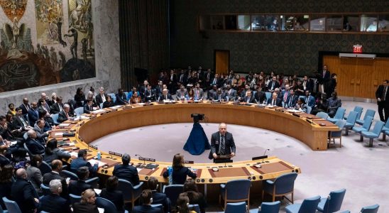 Security Council disagrees on Palestinian state