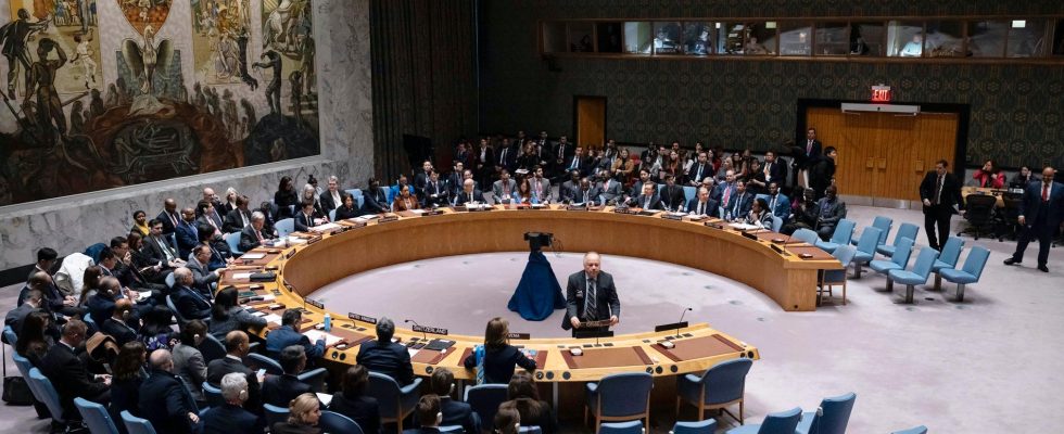 Security Council disagrees on Palestinian state