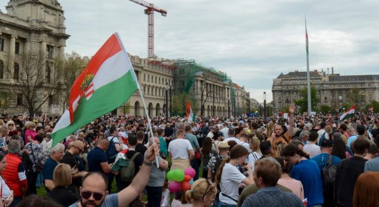 Tens of thousands in Orban critical demonstration