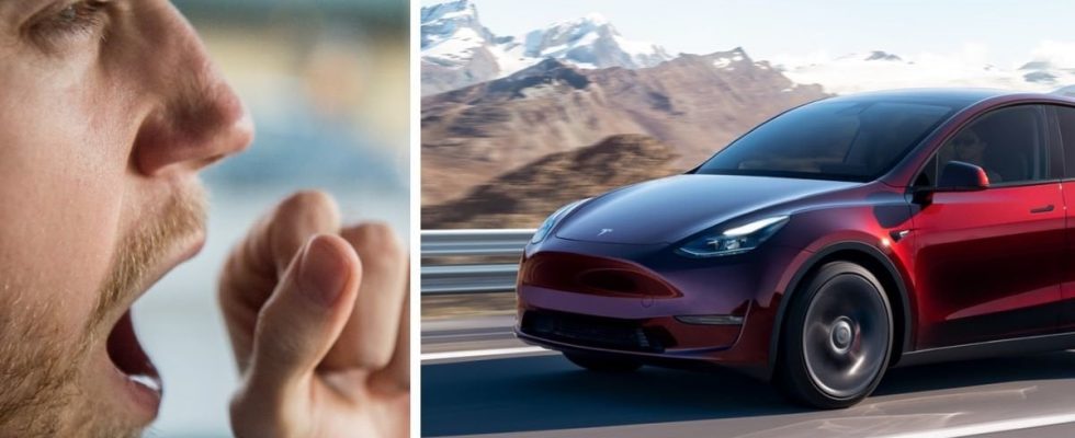 Tesla driver slept on E4 with Autopilot now he