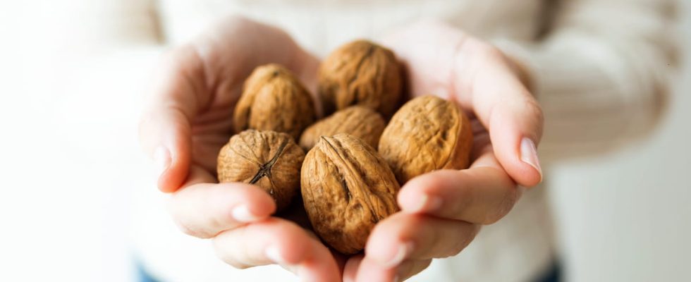 The 6 best foods to lower cholesterol levels