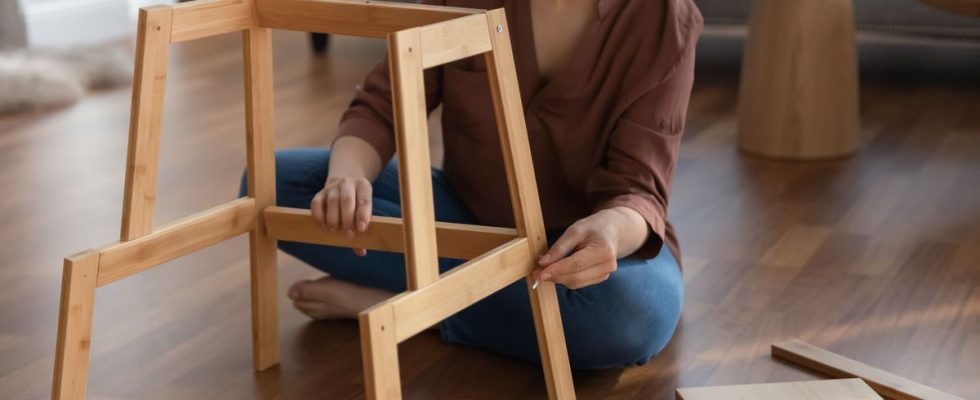 The Ikea effect this feeling of accomplishment that values ​​us