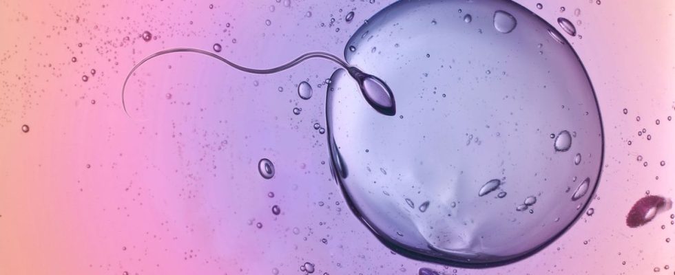 The decline in fertility a global phenomenon that will increase
