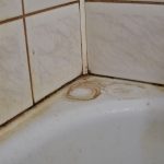 The easy way to sparkling bathroom grouts – without white