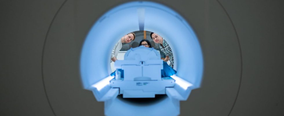 The most powerful MRI in the world reveals its first
