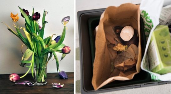 Therefore you should never throw flowers in the food waste
