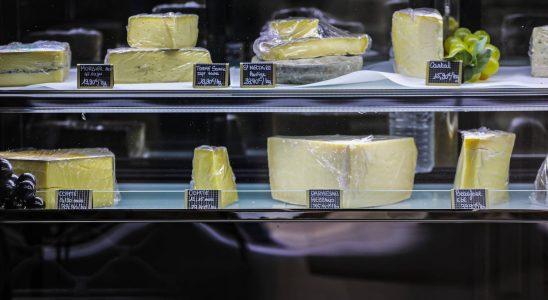 These two cheeses can make you seriously ill and should