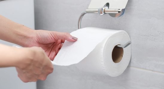 Toilet paper will soon disappear heres what well use