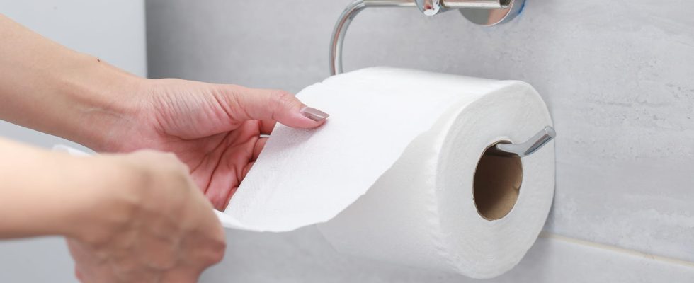 Toilet paper will soon disappear heres what well use