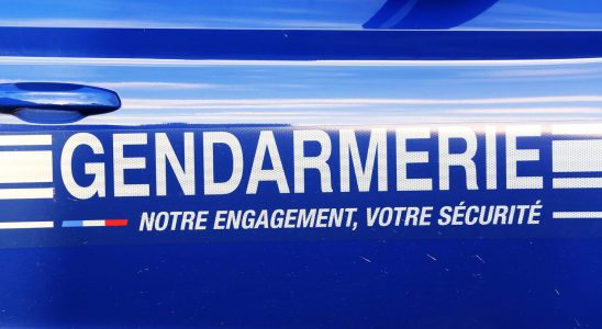 Two children stabbed to death in Essonne confessions made by