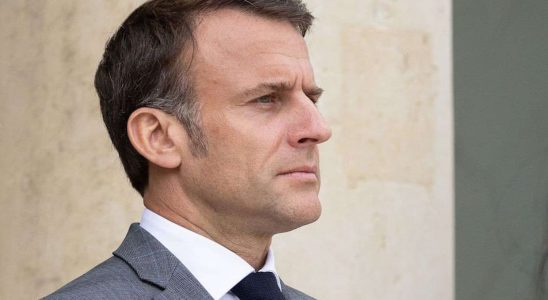 What will the consultation wanted by Macron consist of
