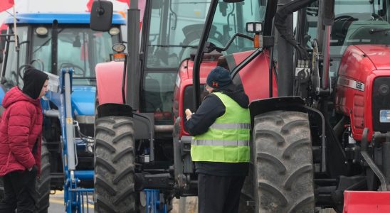 Yes to crisis rules for EU farmers