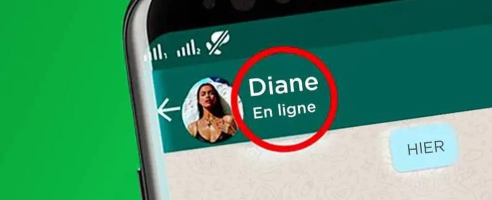 Your WhatsApp profile photo becomes the subject of a new