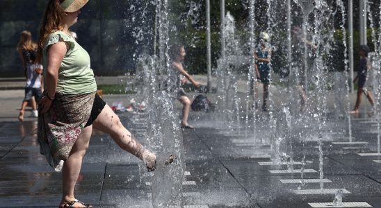 a worrying report measures the level of heat stress on