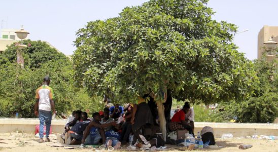 migrants survive in olive fields