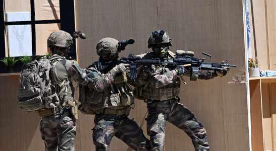 what could the European rapid reaction force look like –