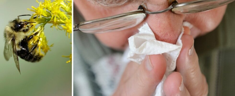 Allergic to pollen Then you need to seek care