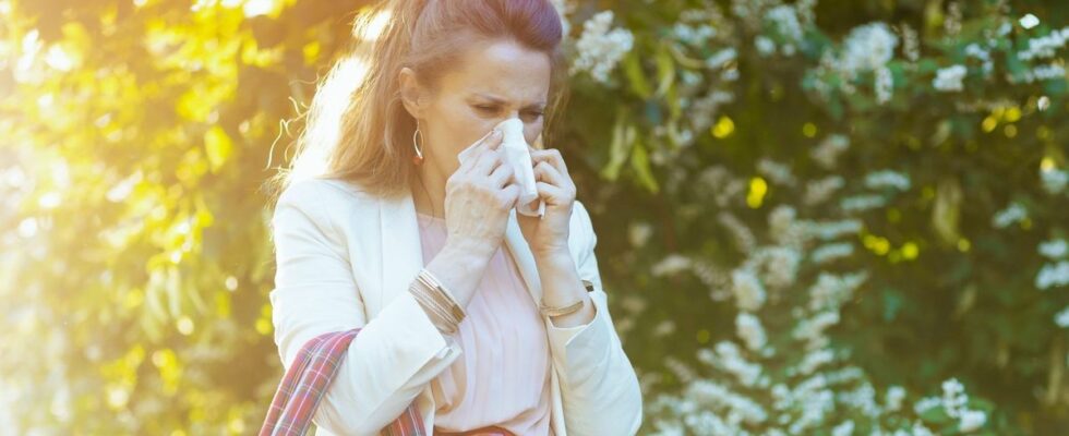 Allergy risk rises to high level in many departments